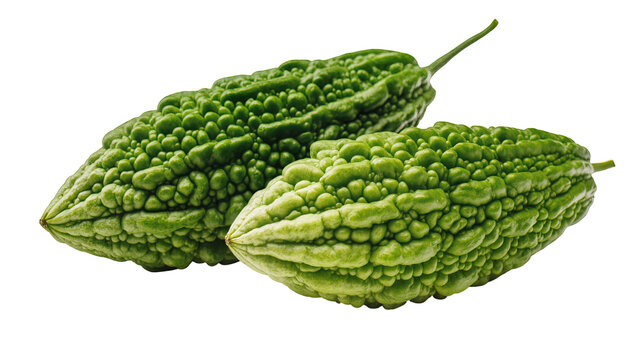 Isolated fresh organic green bitter melons, healthy natural tropical Asian vegetable on display