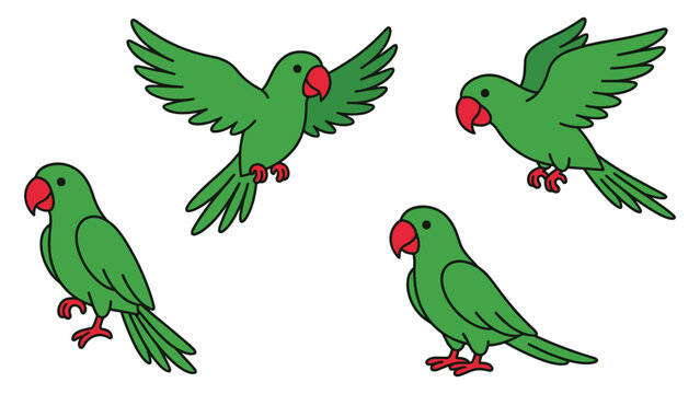 Four green parrots illustration isolated on white background.