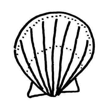 貝