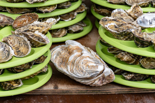 Fresh oysters on stacked plastic plates and in boxes at a Brittany fish market stall in coastal village Cancale, famous oysters farms by Atlantic ocean, France