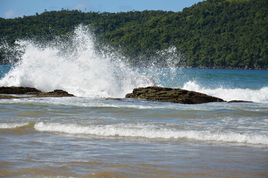 trindade - paraty