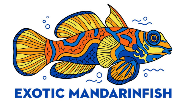 Exotic Mandarin Fish Illustration.