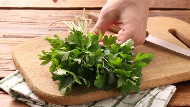 Woman untying bunch of fresh parsley with twine at wooden table, closeup