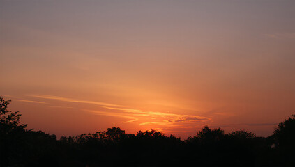 Obraz premium 夕方の公園で樹木の上に広がる穏やかな夕焼け空
