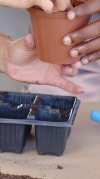 Vertical video: Holding two hands probing brown pot above black seed tray, moving soil for potting