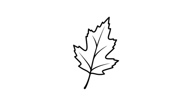 Simple black and white line art drawing of a lobed leaf, botanical illustration, nature element, vector graphic
