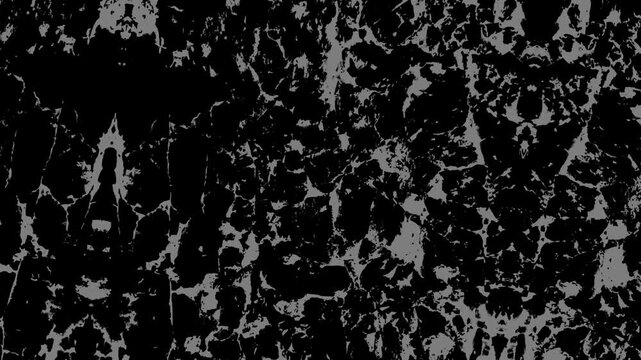 Abstract black and white fractured pattern with dense textures, irregular shapes, and dramatic contrast. Grunge texture background animation.