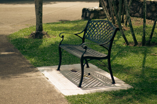 Black bench in the garden