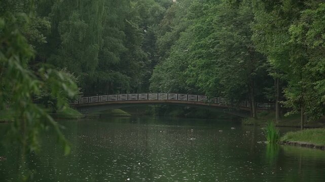 shooting of tall, thick green trees city park, reflection water, ripples, birds swimming, pigeons flying over, pedestrian bridge arch background, silence, relaxation, peace, tranquility, summer day