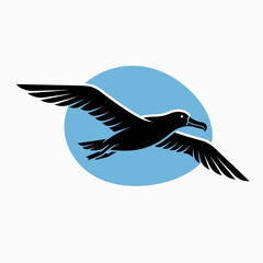 Fototapeta premium Black bird in flight wings spread.