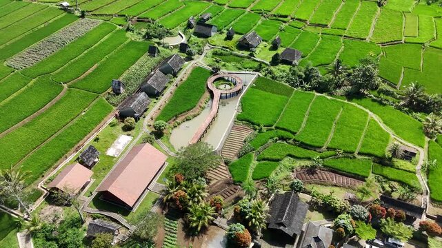 Drone Orbit View of Kampung Pandanwangi Rice Fields in Cianjur West Java Indonesia