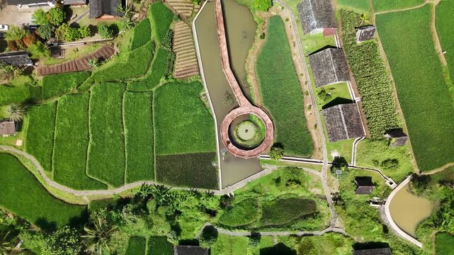 Forward Drone Flight Above Green Rice Fields in Cianjur West Java Indonesia