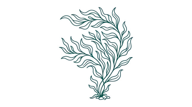 Seaweed illustration in green color.