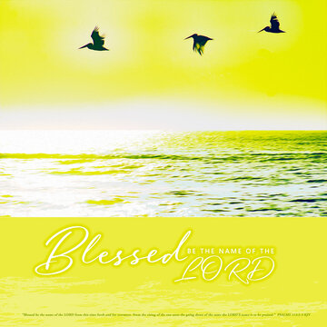 Psalms 113:2-3 kjv "blessed be the name of the Lord ..." w/ Sunset, Sunrise Image in Yellow, White & Silver w/Silhouette of three sea birds flying in the Sky-Church Backdrop, Bible Study tools, 