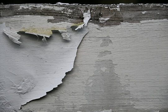 white painted wooden fence board with old weathered texture peeling paint
