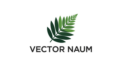 Vector illustration of a fern leaf. © zulvida