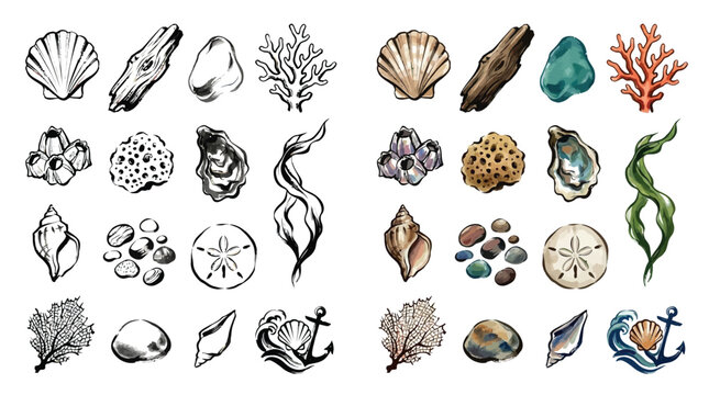 Collection of Hand-Drawn and Watercolor Illustrations of Marine Objects and Beach Elements.
