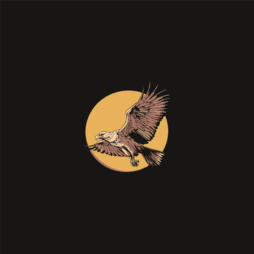 Hand drawn vector illustration of a majestic eagle flying with spread wings isolated on black background.