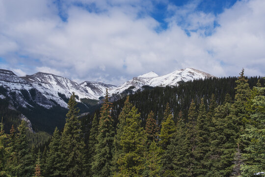 The road through the forest, which is snow-covered in places, leads to a beautiful mountain in the Canadian Rockies 