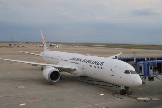 Japan Airlines airplane parked at the airport gate terminal.