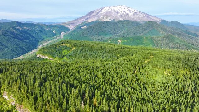 Aerial View Of Mount St Helens Above Evergreen Forest 03
