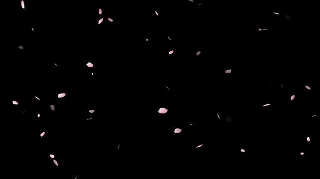 Cherry blossom petals falling particle animation, Cherry blossom petals dance in wind.
4k, Cherry blossom, sakura leaves falling transparent,
