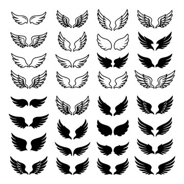Set of angel and bird wing illustrations for logo design and decorative graphics with wing shape bird wings birdwing graphics abstract silhouette decorative