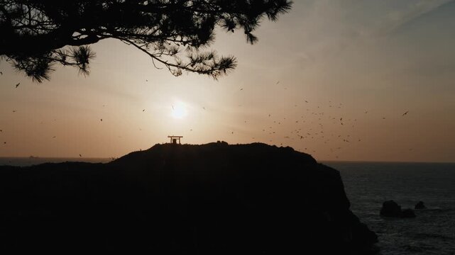 Black-tailed Gulls Breeding Colony with Natural Bird Calls &ndash; Fumishima Island, Izumo Japan at Sunset