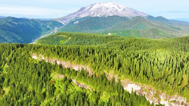 Aerial View Of Mount St Helens Above Evergreen Forest 40