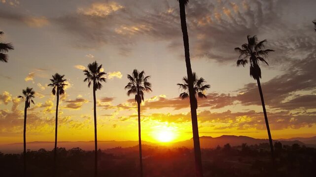 Aerial shot of dramatic clouds and the setting sun behind a row of palm trees. Los Angeles California.