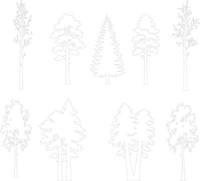 Abstract Hand-Drawn Conifer and Deciduous Tree Outline Sketches