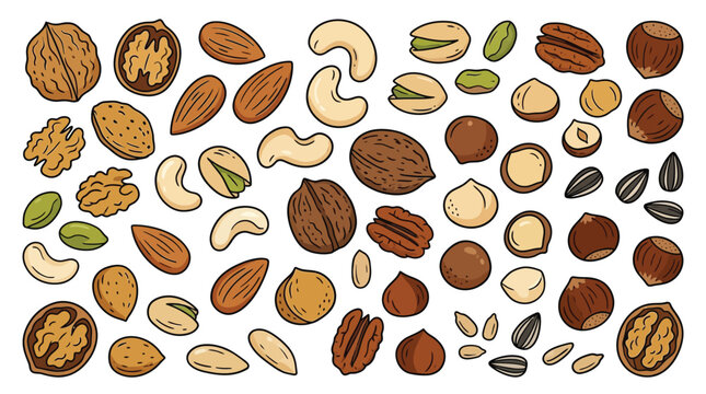 Hand drawn vector illustration of various healthy mixed nuts arranged in a clean flat design