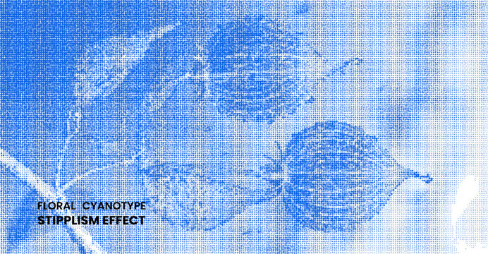 Floral cyanotype stipplism effect with botanical elements, artistic blue and white dot pattern illustration of dried plant seed pods and leaves