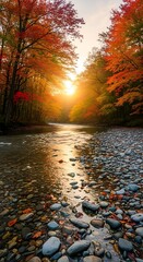 Naklejka premium Autumn forest path with golden sunlight and fallen leaves.
