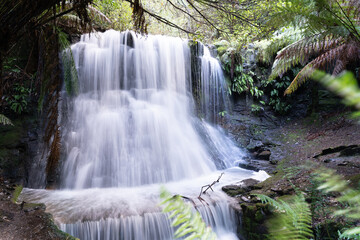 Fototapeta premium Long exposure waterfall cascading through a lush green tropical rainforest
