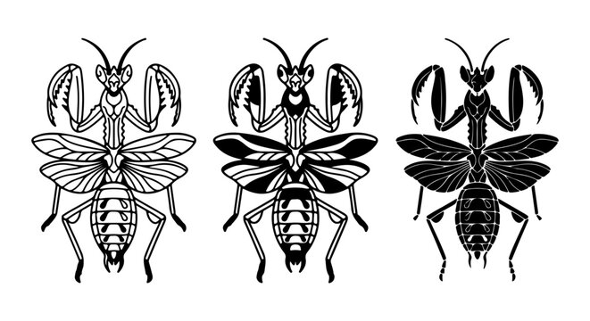 Praying Mantis icon set outline solid silhouette, white background