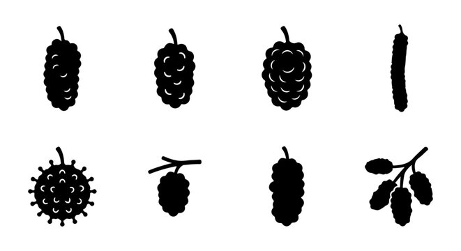 Pinecone icon set, silhouette, white background