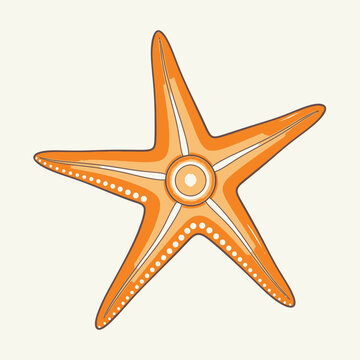 Orange starfish with five arms.