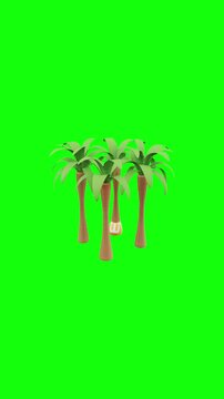 Palm Trees with Beach Ball animated on green screen background, vertical video
