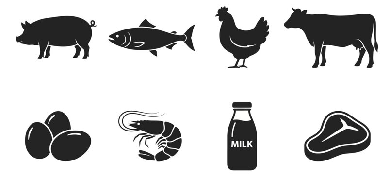 Diverse Protein Sources Icons Meat Fish Poultry Dairy Eggs Seafood for Healthy Eating and Nutrition Concepts