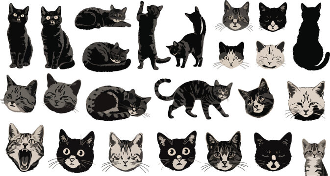 Digital illustration of a cat head with open mouth