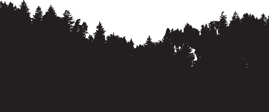Forest Silhouette Against White Background Coniferous Tree Line