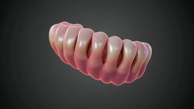 3D Rendering of Human Jawbone Rotation.