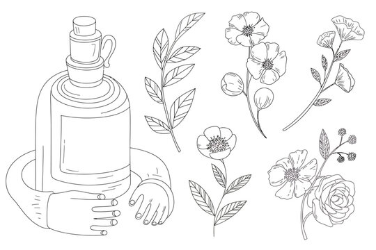 Hand Holding Bottle with Botanical Illustrations and Floral Elements Vector Illustration on White Background.