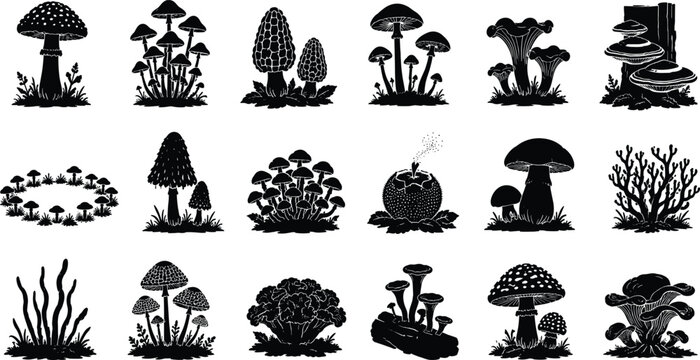 WebWild mushroom and fungi icon set featuring various edible, toxic, and forest fungus species silhouettes for nature design