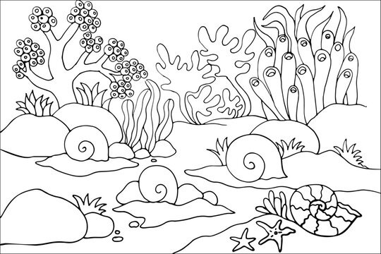 Underwater ocean floor coloring page for kids with sea snails, ammonite shell, starfish, and coral reef line art vector illustration