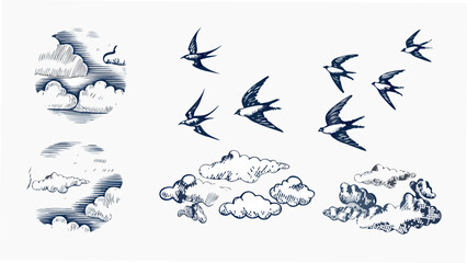 Swallows And Clouds Vintage style Engraving Illustration © Sribas