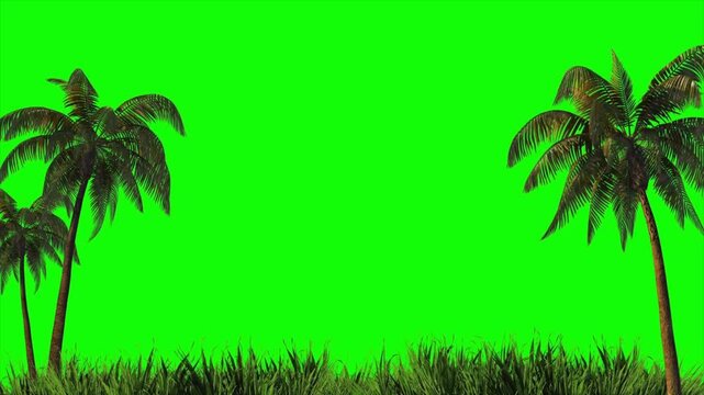 Tropical palm trees and grass on green screen background, exotic island nature frame, chroma key template, seamless 4k motion graphics