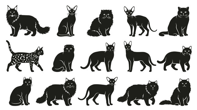 Black Cat Silhouettes: Diverse Breeds and Poses, Vector Art, Animal Iconography