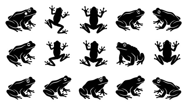 Nature Wildlife Amphibian Frogs and Toads Black Silhouette Vector Icon Set